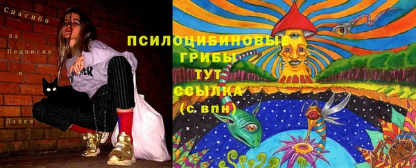 МДПВ Алзамай