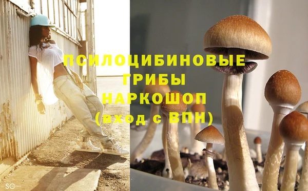 МДПВ Алзамай