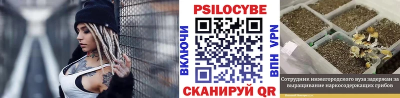 Псилоцибиновые грибы Cubensis  Анжеро-Судженск 